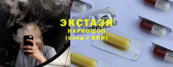 тгк Дмитров