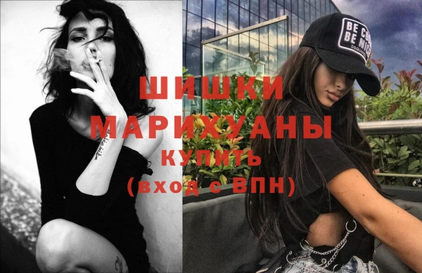 тгк Дмитров