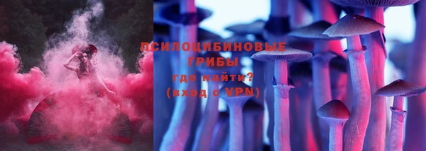 кокс Дмитровск