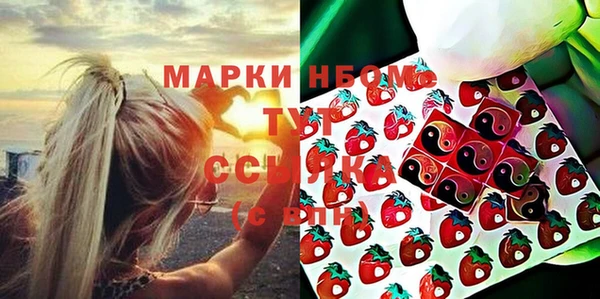 тгк Дмитриев