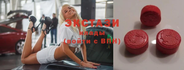 тгк Дмитриев