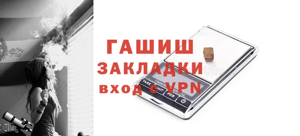 тгк Дмитриев