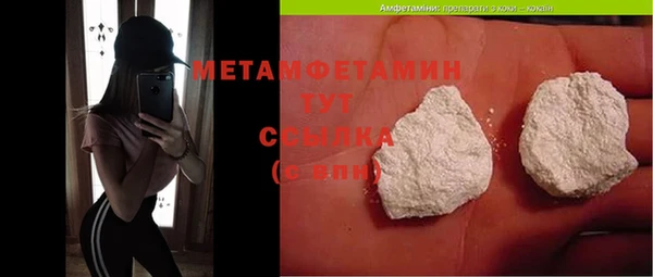 тгк Дмитриев