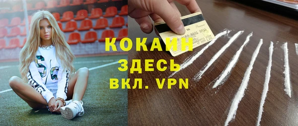тгк Дмитров