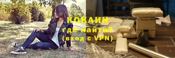 тгк Дмитриев