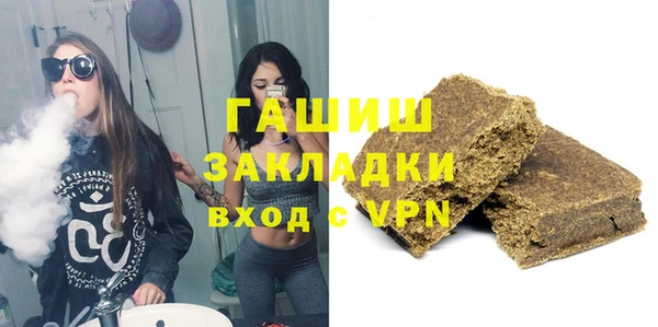 тгк Дмитриев