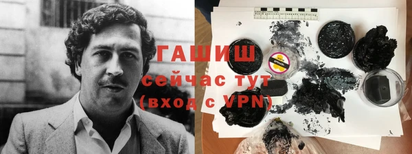 тгк Дмитриев