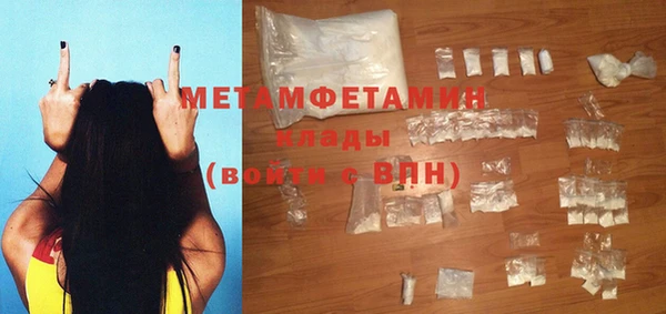 тгк Дмитриев