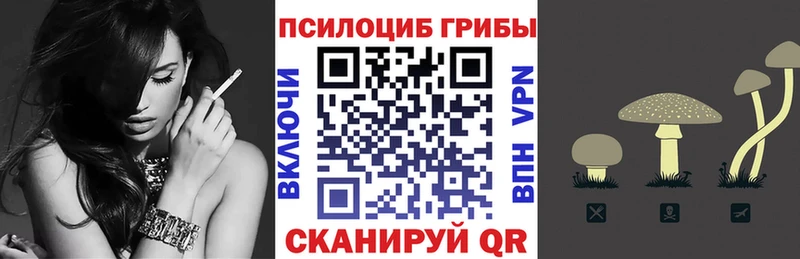 Псилоцибиновые грибы мицелий  Купить где  Красный Холм 